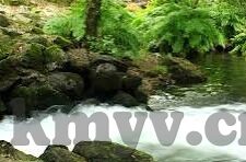 成人网站免费视频-成人网站免费视频，网络时代的隐私与界限