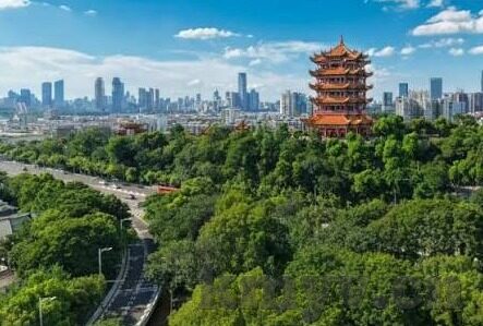 大象亡果中文慕视频-探索大象亡果，中文慕视频的独特魅力