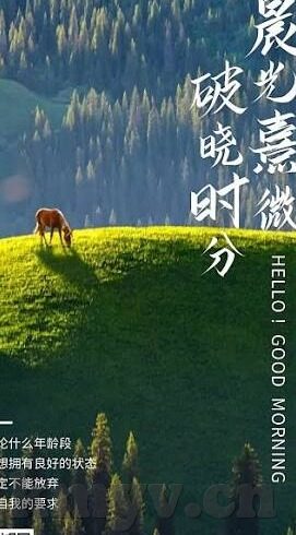 后入人妻视频-后入人妻视频，一个被误解的视角与伦理探讨