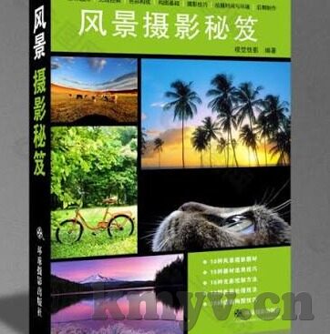 麻豆在观看夜蝶视频-麻豆的夜蝶视频观影体验，一场视觉与情感的双重盛宴