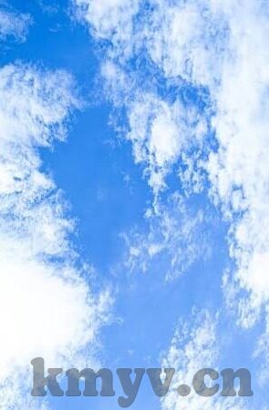 免费伦理-免费伦理，在数字时代寻找价值的平衡点