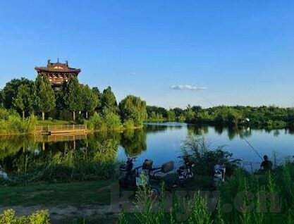 人妻中文字幕亚洲-探索人妻题材的多元视角，中文字幕下的亚洲故事