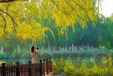 三级动画伦理视频电影-探索三级动画伦理视频电影的边界与影响