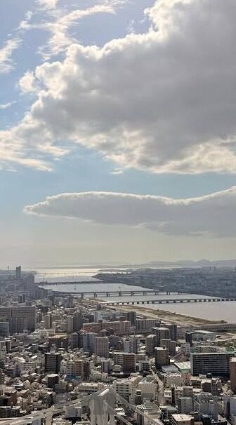 糖心v log在线入口-探寻生活新视角，糖心v log的在线奇妙之旅