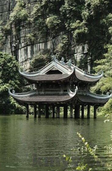 糖心直播免费版app下载-声乐世界里的一抹温馨，解锁糖心直播免费版的温柔体验