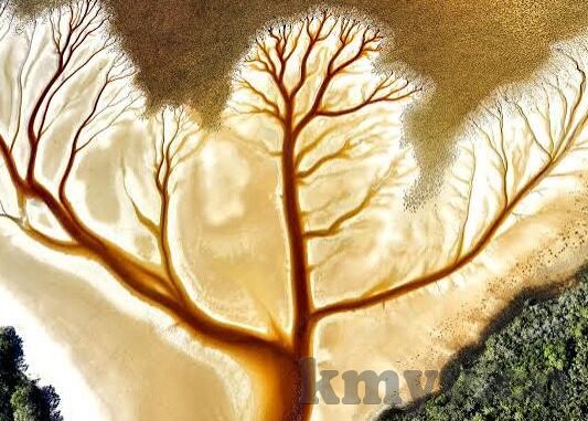 亚洲av无码一区二区三区在线-亚洲影视文化探索，多元视角下的艺术呈现